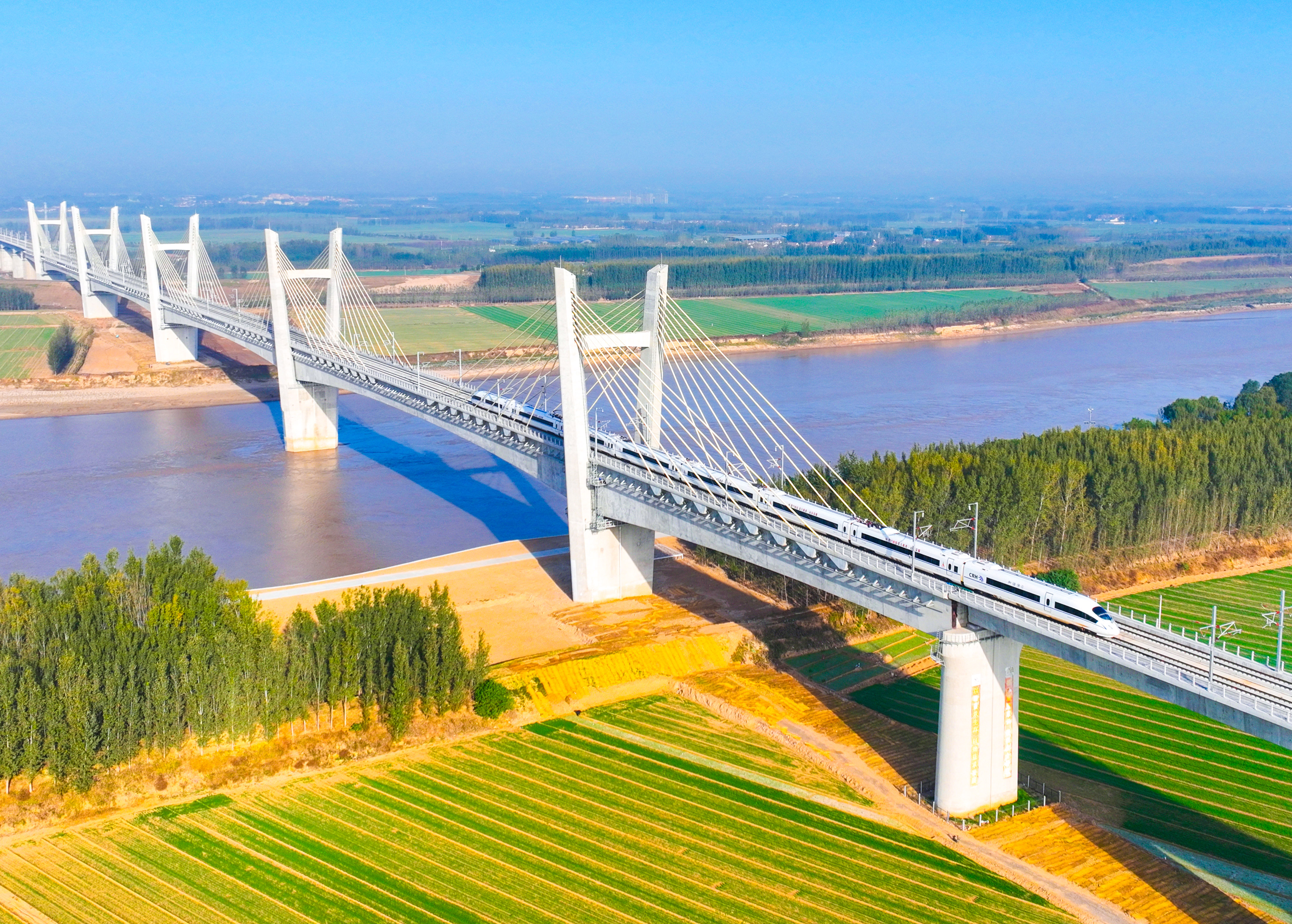 9999js��ɳ��Ʒ��(�й�)���޹�˾