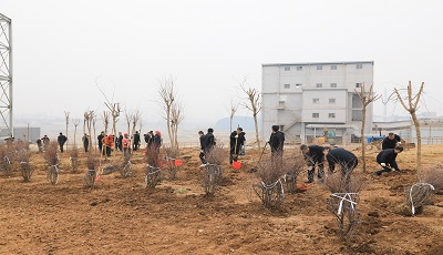 9999js��ɳ��Ʒ��(�й�)���޹�˾